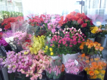 「木村生花店」　（北海道沙流郡日高町）の花屋店舗写真1